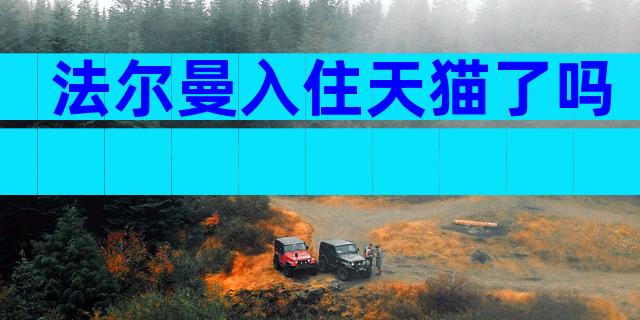 法尔曼入住天猫了吗
