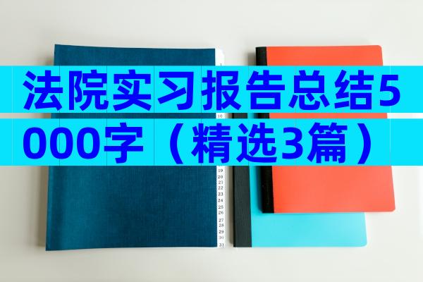 法院实习报告总结5000字（精选3篇）
