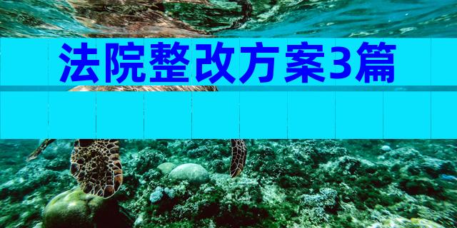 法院整改方案3篇