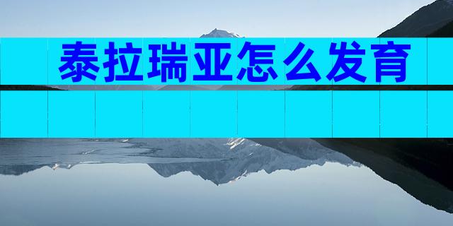 泰拉瑞亚怎么发育