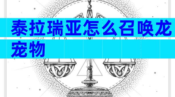 泰拉瑞亚怎么召唤龙宠物