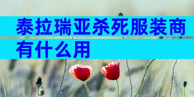 泰拉瑞亚杀死服装商有什么用