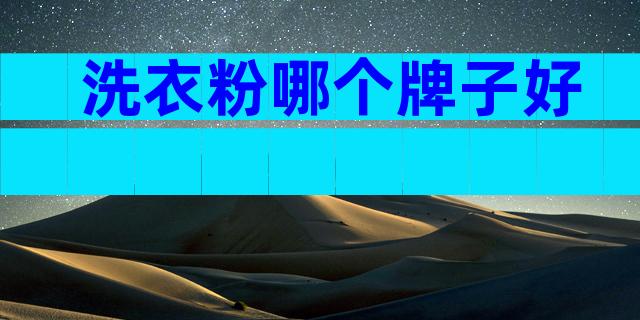 洗衣粉哪个牌子好