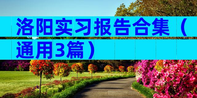 洛阳实习报告合集（通用3篇）