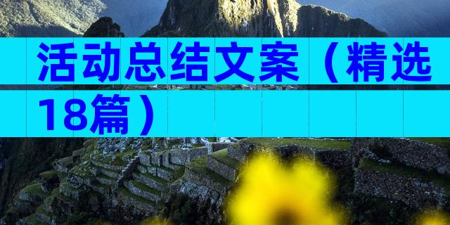 活动总结文案（精选18篇）