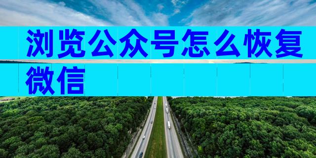 浏览公众号怎么恢复微信