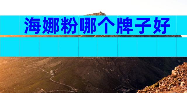 海娜粉哪个牌子好