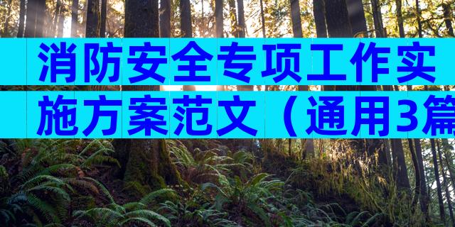 消防安全专项工作实施方案范文（通用3篇）