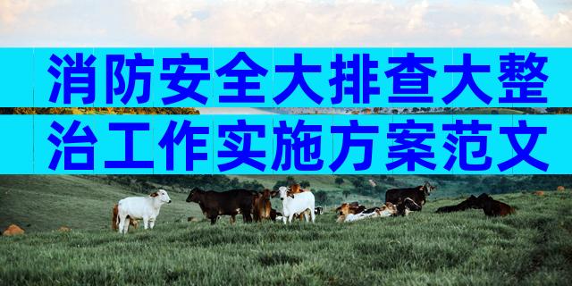 消防安全大排查大整治工作实施方案范文（通用3篇）