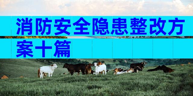 消防安全隐患整改方案十篇