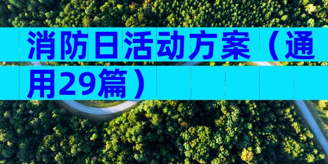 消防日活动方案（通用29篇）