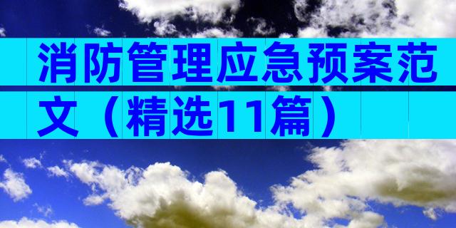 消防管理应急预案范文（精选11篇）