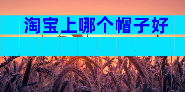 淘宝上哪个帽子好