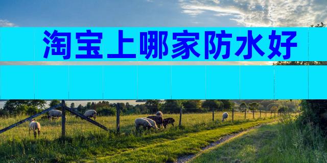 淘宝上哪家防水好