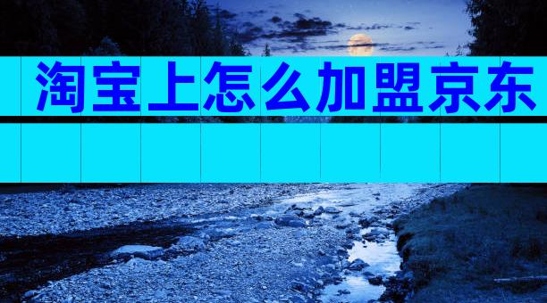 淘宝上怎么加盟京东