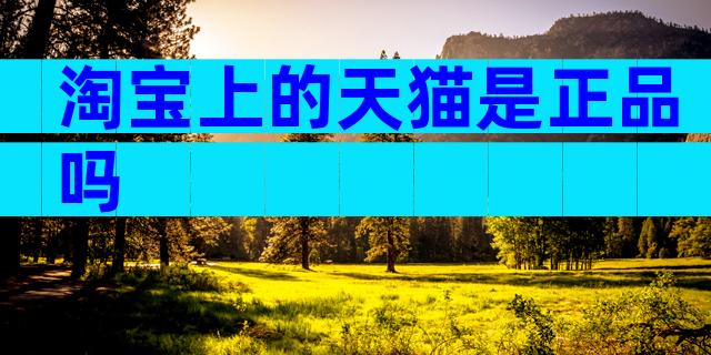 淘宝上的天猫是正品吗