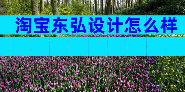 淘宝东弘设计怎么样