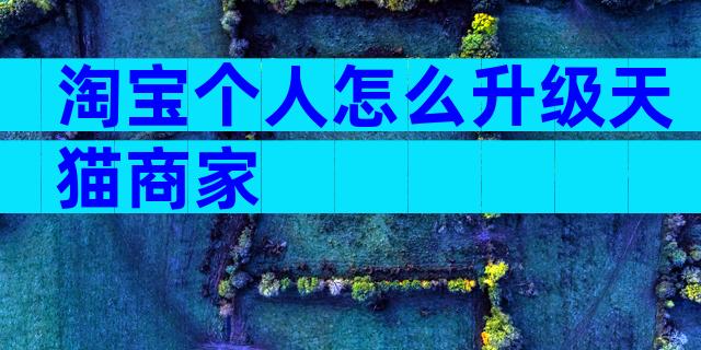 淘宝个人怎么升级天猫商家