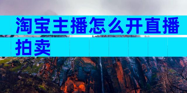 淘宝主播怎么开直播拍卖