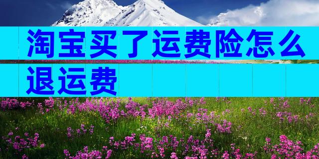 淘宝买了运费险怎么退运费