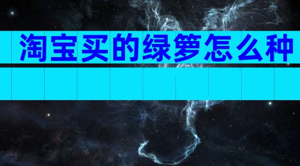 淘宝买的绿箩怎么种