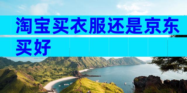 淘宝买衣服还是京东买好