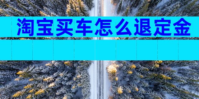 淘宝买车怎么退定金