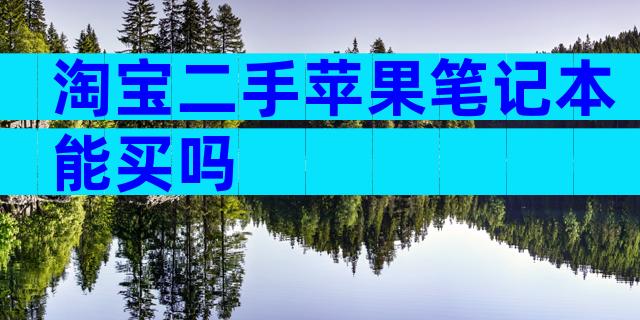 淘宝二手苹果笔记本能买吗