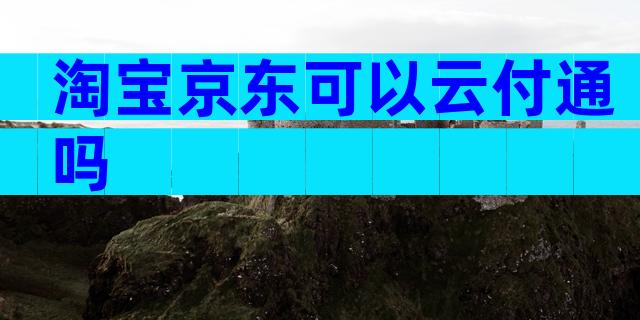 淘宝京东可以云付通吗