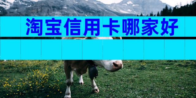 淘宝信用卡哪家好