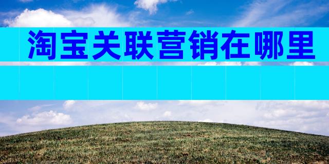淘宝关联营销在哪里