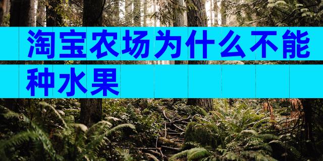 淘宝农场为什么不能种水果
