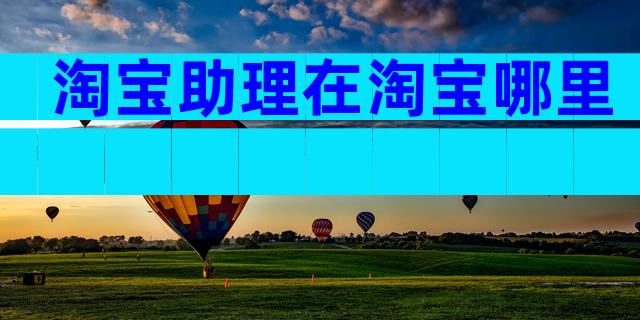 淘宝助理在淘宝哪里