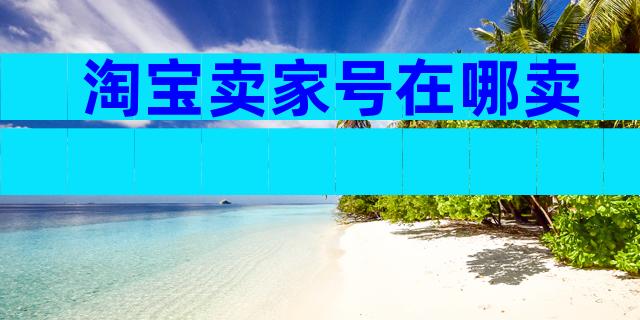 淘宝卖家号在哪卖