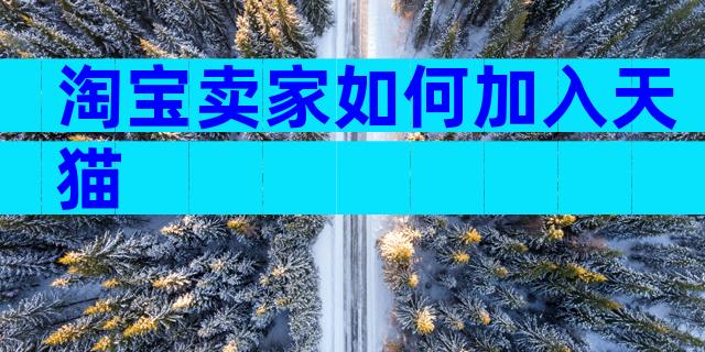 淘宝卖家如何加入天猫