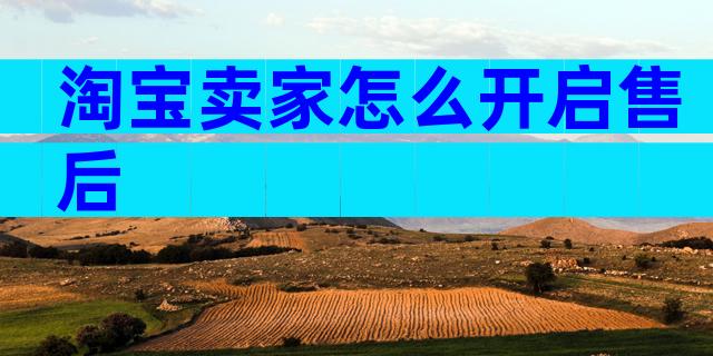 淘宝卖家怎么开启售后