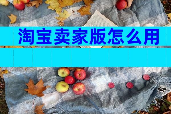 淘宝卖家版怎么用