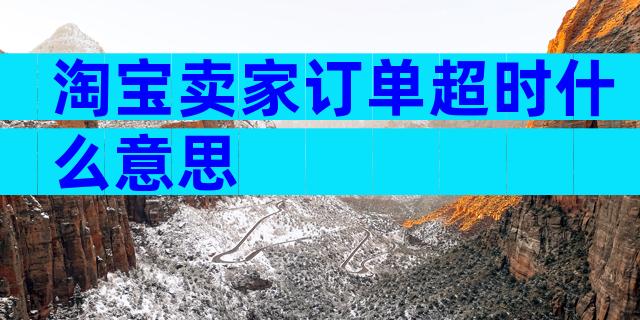 淘宝卖家订单超时什么意思