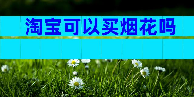 淘宝可以买烟花吗