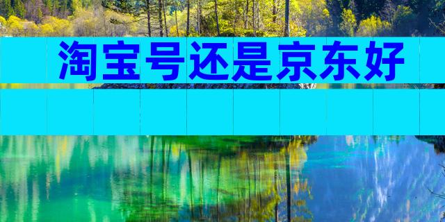淘宝号还是京东好
