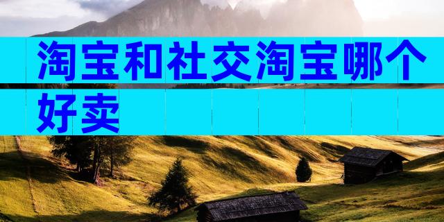 淘宝和社交淘宝哪个好卖