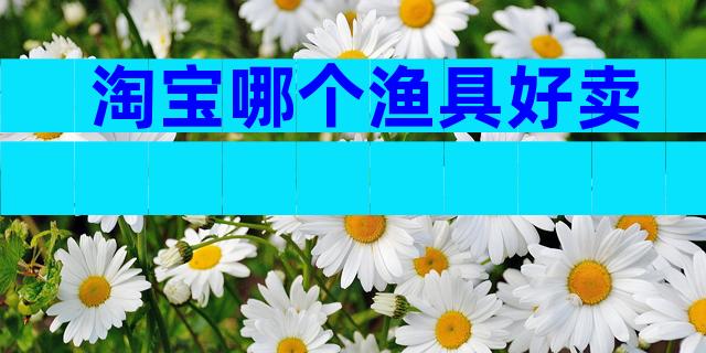 淘宝哪个渔具好卖