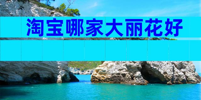 淘宝哪家大丽花好
