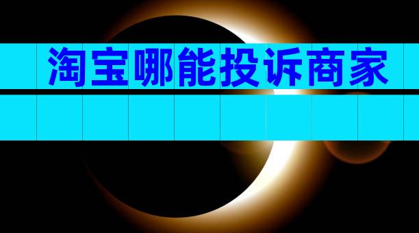 淘宝哪能投诉商家