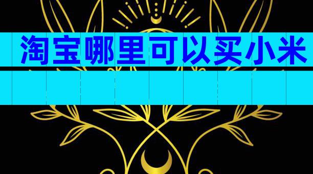 淘宝哪里可以买小米