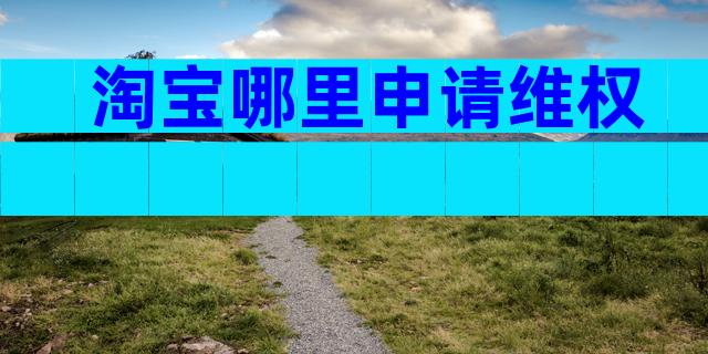淘宝哪里申请维权