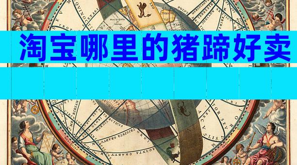 淘宝哪里的猪蹄好卖