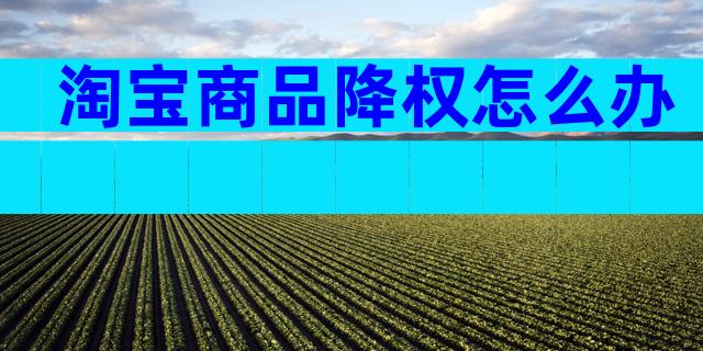 淘宝商品降权怎么办