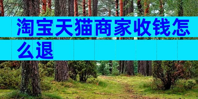 淘宝天猫商家收钱怎么退