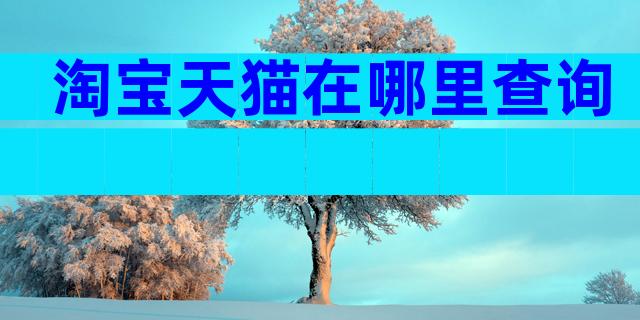 淘宝天猫在哪里查询